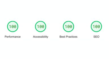PageSpeed screenshot showing full score